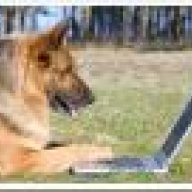 Ilovedogs56