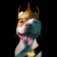 puptrait