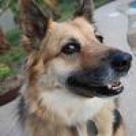 CrystalGSD