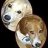 DogsAyeView