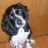 Shamus