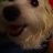 MyDogsNameIsDaliah