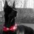 Dobermonster