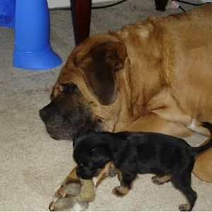 Beau and Brady