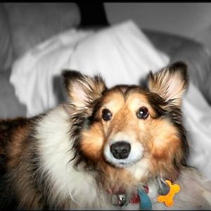 RIP my O'Hara angel