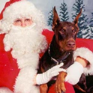 Buddy and Santa