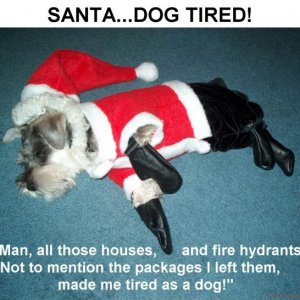 Santa...Dog Tired!
