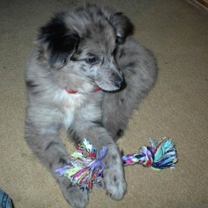 Boo with toy