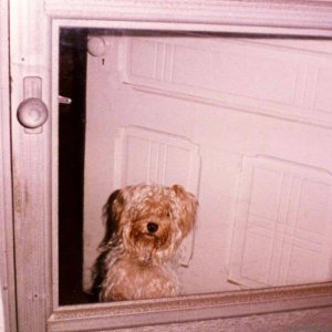 waiting for my daddy