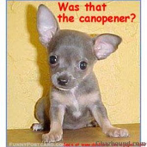 Canopener?