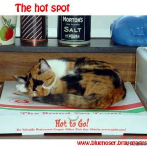 The hot spot