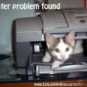 Printer Problems