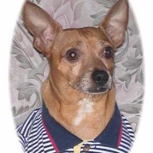 clip_4_Paco