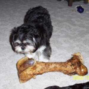 Now THAT's a BONE!!