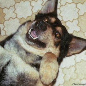 Scratch My Belly!