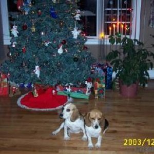 Keya & Bess , Dec /03