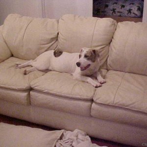 I've got this big couch all to myself.