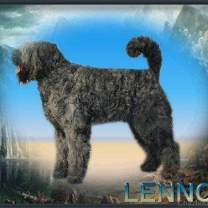 Lennox, our World Champion
