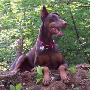 Posing in the woods