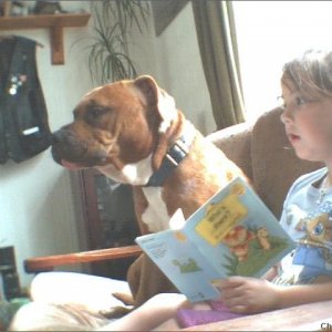 a quiet afternoon watching tv