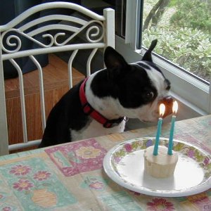 Blowing out my candles