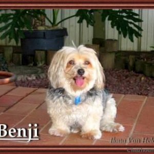 Benji