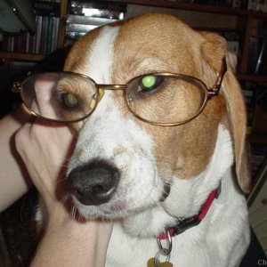 Professor Von Beag