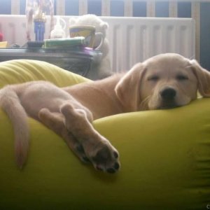 Night Night!!!
