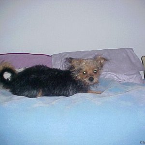 Drying off on the Bed