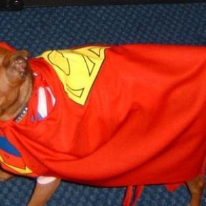 Super Puppy