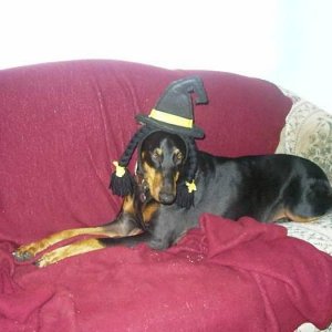 Halloween witch Dobe he he