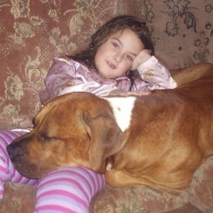 Media 'jazzy_and_pagan' in category 'Dog Pictures'
