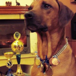 Bolero with his awards