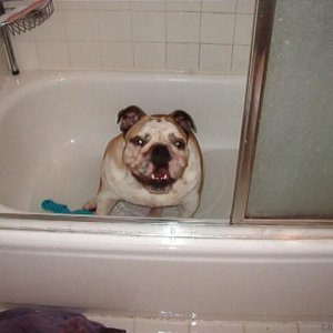 Bath Tub Girl