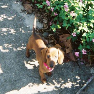 checkin out the flowers