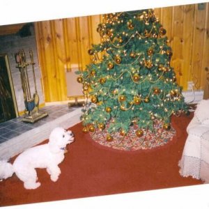 fritzxmas20041