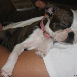 I'm tired!