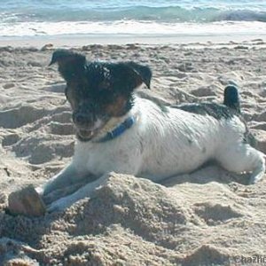Beach Baby