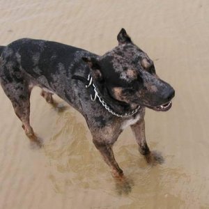 Damien Loves the Beach