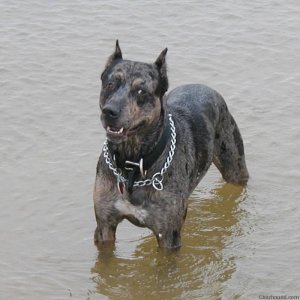 Damien takes a dip