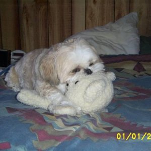 Buster with his Teddy Bear