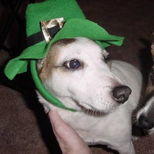 Happy St Patrick's Day