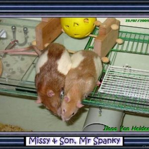 Missy & son, Spanky