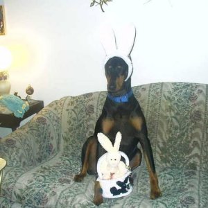 Bunny Dobe  HAPPY EASTER