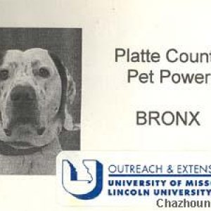 bronki's badge