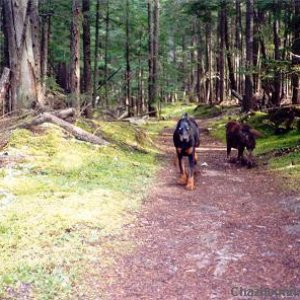 Lyric_Bonnie_on_hike