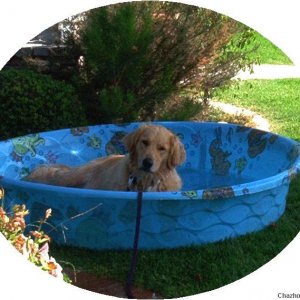 chillin' in my pool