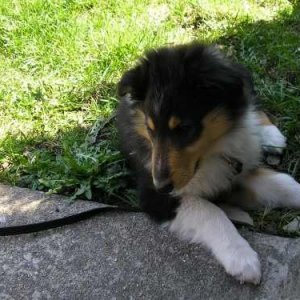 mandee 9 weeks