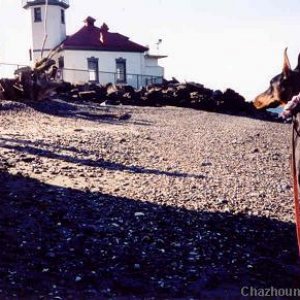 lighthouse on Alki