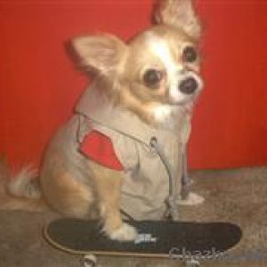 I am ready to go skateboarding